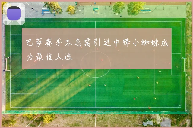 巴萨赛季末急需引进中锋小蜘蛛成为最佳人选