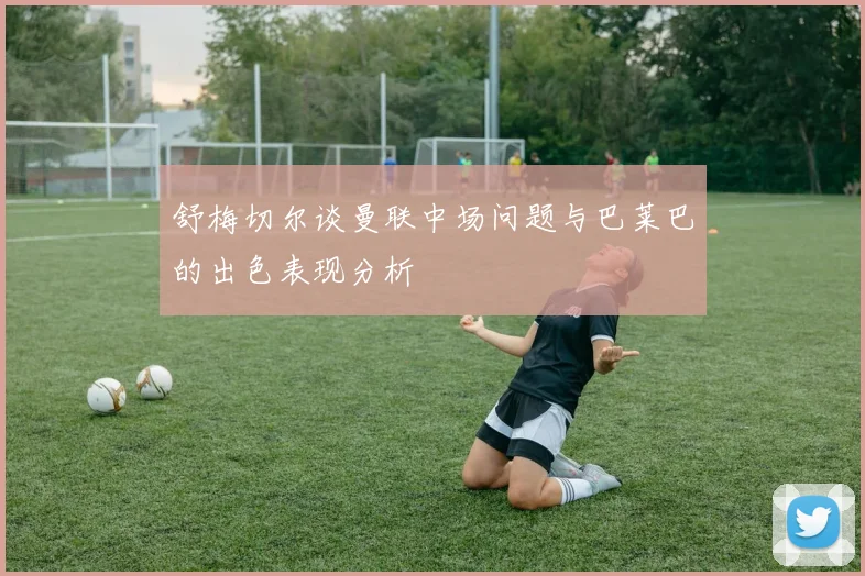 舒梅切尔谈曼联中场问题与巴莱巴的出色表现分析